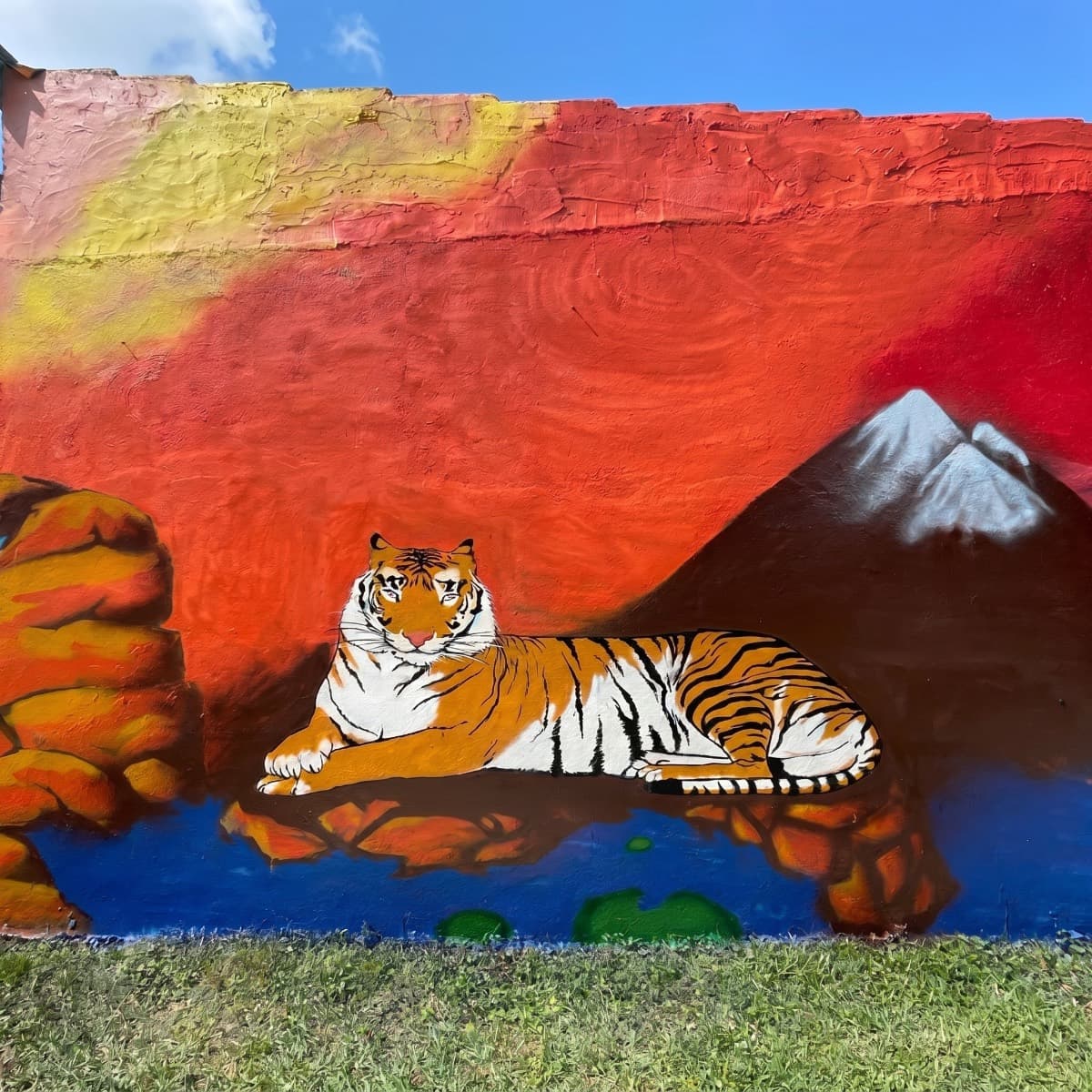 Tigre, gros plan, Le Blanc-Mesnil